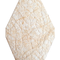 CNC10 