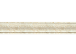 CY1101-24-303 